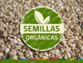 /album/fotogaleria-contactenos/semillas-organicas-en-chile-jpg/